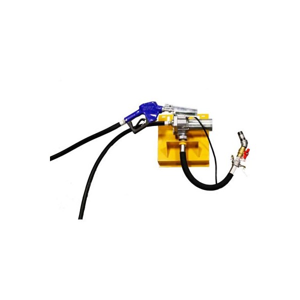 Western International Western Global 115 Volt 12 Gallon Per Minute Pump Kit with fittings M1115SAUK - main